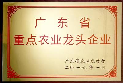 榮譽(yù)證書